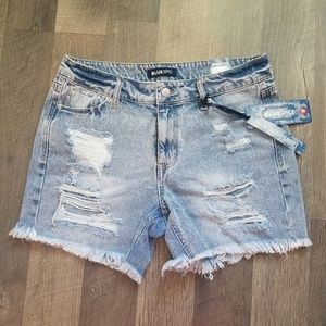Blue Spice | High Waisted Shorts